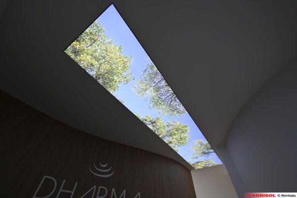 Dharma Emotional Spa
