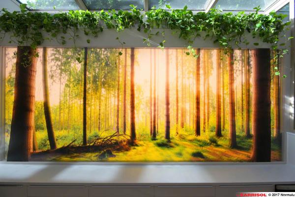 Barrisol Layers Concept - Murs imprimés lumineux