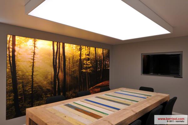 Mur imprimé lumineux Barrisol, et caisson lumineux