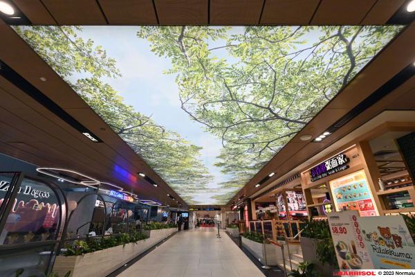 Plafond lumineux Barrisol Lumière - Changi Airport