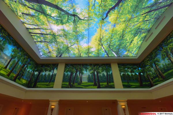 Plafond Barrisol Lumière imprimé thématique forêts